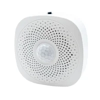 Dual sensor motion detector